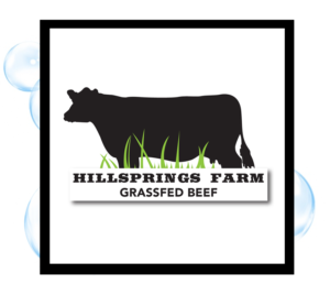 HillSpring Logo Design by Thirsty Fish Graphic Design of Corning NY