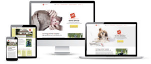 Corning Animal Hospital web design