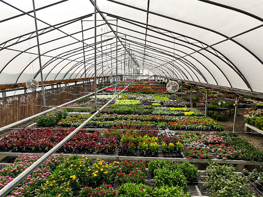 Massi's Greenhouse - drone photography in Corning, NY