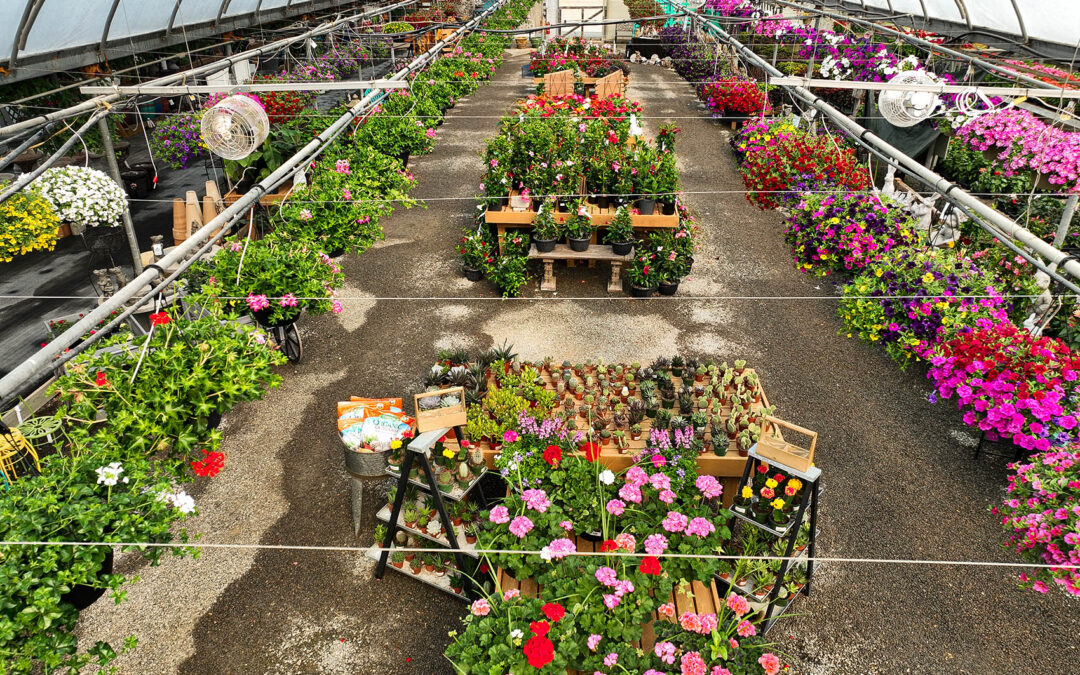 Drone Photography for Local Greenhouse
